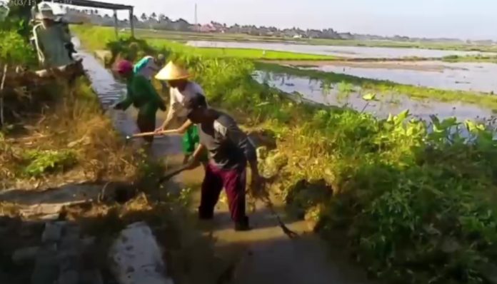 Pemdes Pegandikan Gotong Royong Bersihkan Saluran Irigasi Melalui Program PKTD