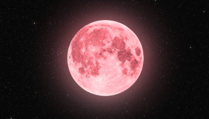 Pink Moon