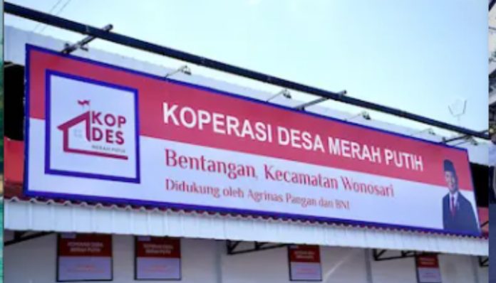 Rekrutmen Kopdes Merah Putih 2026