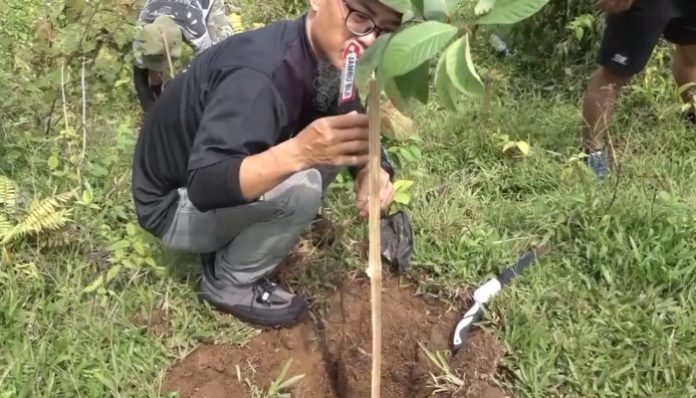 Ratusan relawan di Kabupaten Pandeglang menggelar aksi penanaman ribuan bibit pohon, Rabu (22/4/2026).