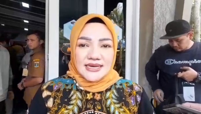 Anggota DPR RI, Adde Rosi Khoirunnisa