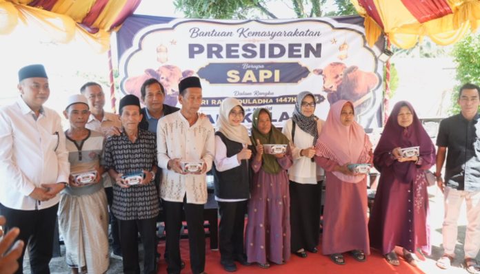 Bupati Pandeglang Dewi Setiani saat meninjau penyaluran daging kurban
