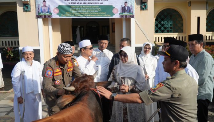 Bupati Pandeglang Dewi Setiani saat menyerahkan hewan kurban secara simbolis.