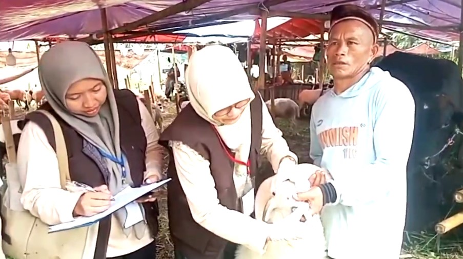 DKPP Kota Serang saat melakukan pemeriksaan ante mortem di sejumlah lapak penjualan hewan kurban (Foto: Bantentv.com/ Jaya)