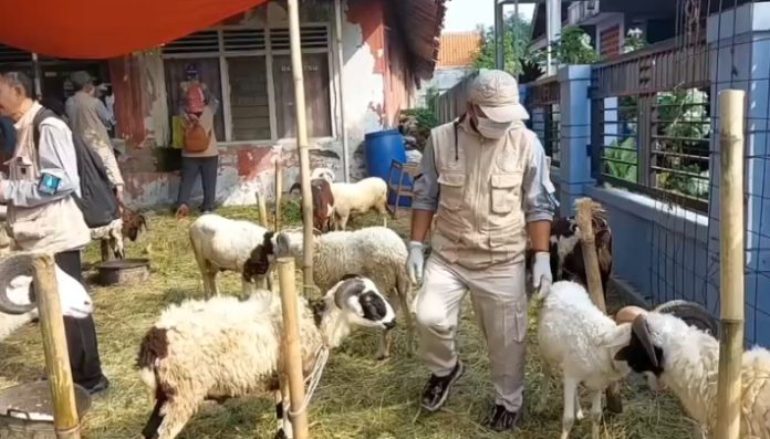 Distan Banten Perketat Pengawasan Hewan Kurban