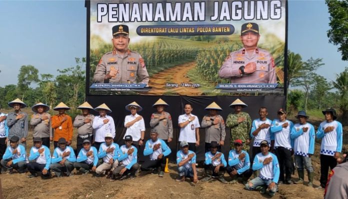 Ditlantas Polda Banten Tanam Jagung di Lahan 10 Hektare di Kopo