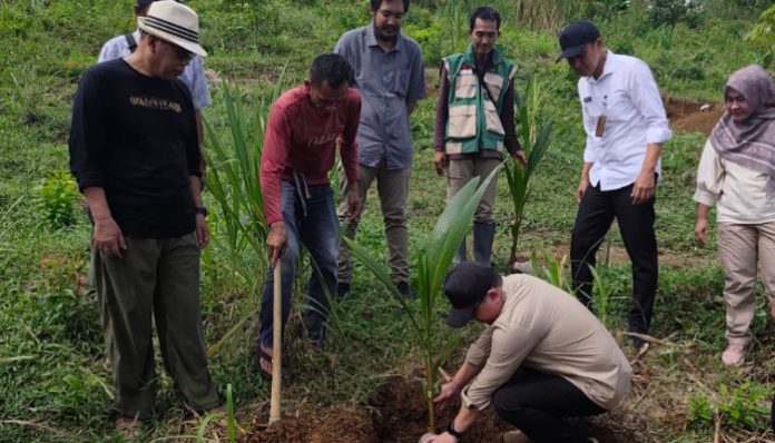 Kementan menyalurkan 220 ribu benih kelapa unggul untuk petani di Lebak (Foto: Bantentv.com/ Nano)