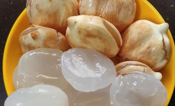 Manfaat Buah Lontar untuk Kesehatan, Bantu Menghidrasi di Tengah Cuaca Ekstrem (Foto: Instagram/ Dokter Zaidul Akbar Resep)