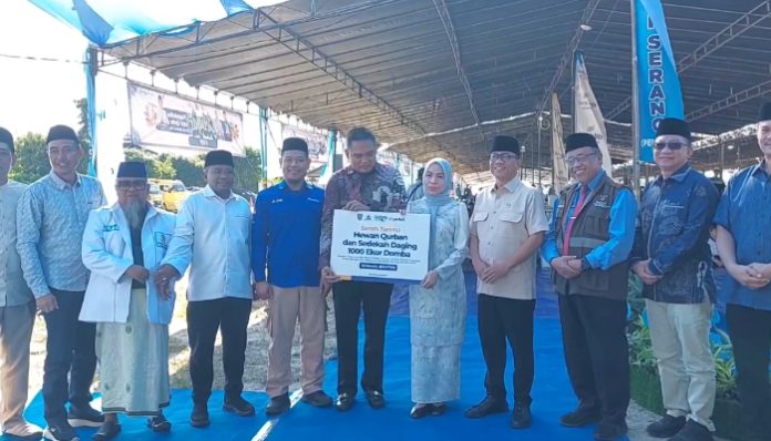 Pemkab Serang bagikan 1000 ekor domba untuk hewan kurban