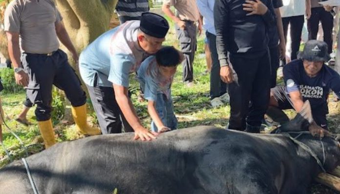 Polres Serang Salurkan Puluhan Hewan Kurban untuk Masyarakat dan Organisasi Wartawan