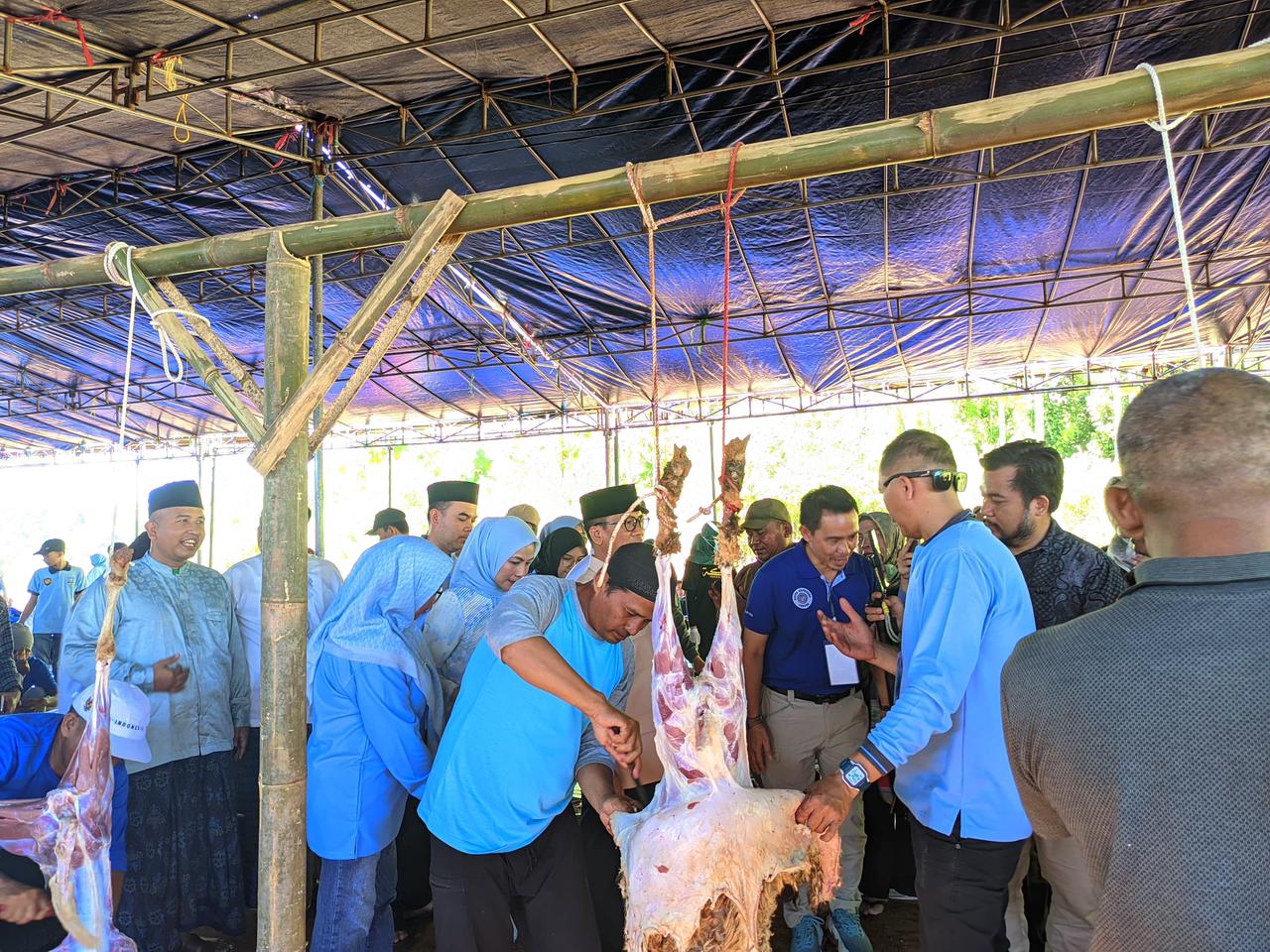 Pemkab Serang memotong 1.000 domba kurban pada momen Hari Raya Iduladha 1447 Hijriah