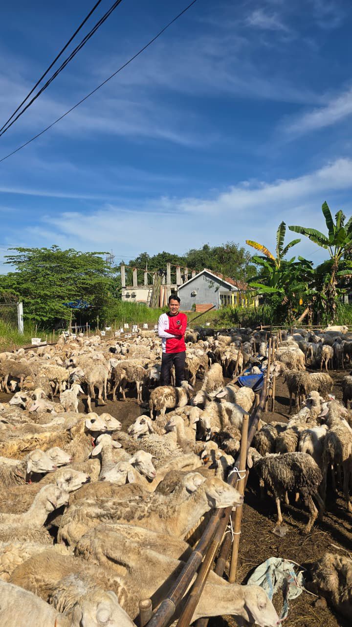 Wakil Wali Kota Serang, Nur Agis Aulia, melakukan monitoring kegiatan tebar Kurban Kita Bisa 2026