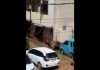 Sapi kurban lepas dan mengamuk