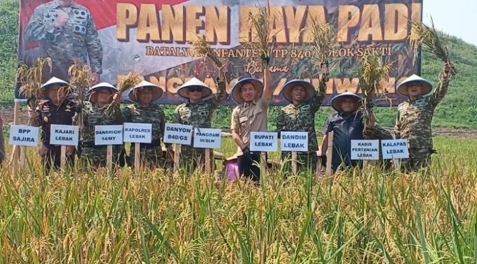Pangdam III/Siliwangi menggelar panen raya (Foto: Bantentv.com/ Nano)
