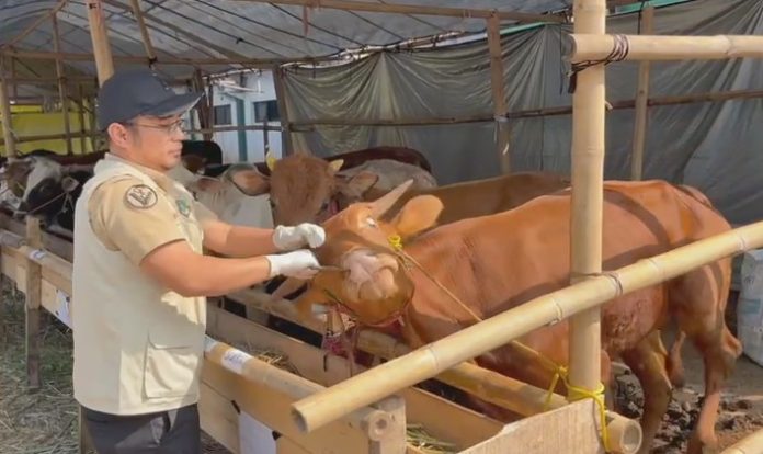 Distan Banten saat melakukan pemeriksaan lapak hewan kurban di Kota Serang (Foto: Bantentv.com/ Hendra)
