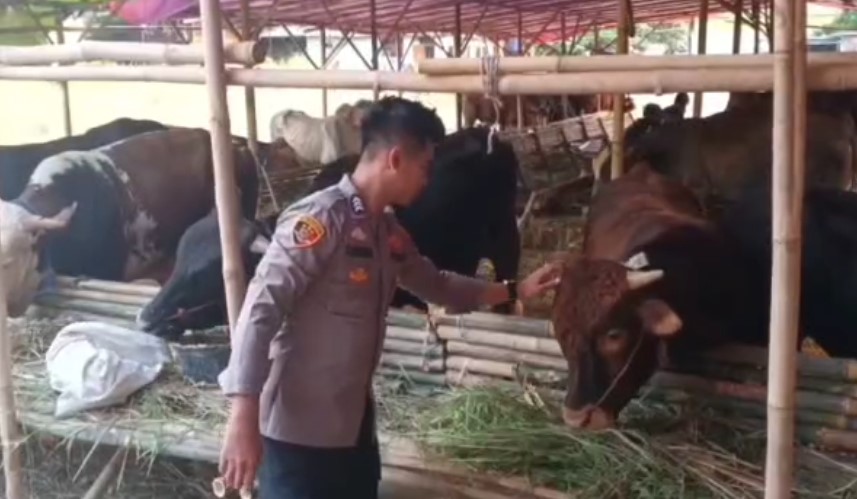 Anggota Polres Cilegon, Brigadir Polisi Supratman Wibisono saat di lapak hewan kurban miliknya (Foto: Bantentv.com/ Ali)