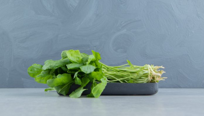 Bayam segar dikenal sebagai salah satu sayuran superfood yang baik untuk kesehatan tubuh