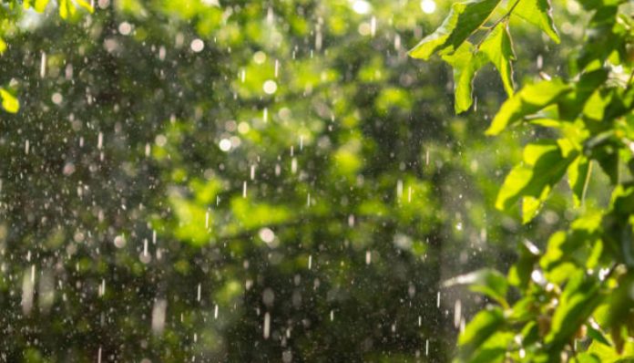 Hujan Ringan Diprediksi Guyur Kota Serang Siang hingga Malam