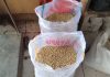 Harga kedelai naik di Pandeglang